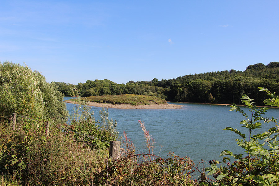 Carsington Water