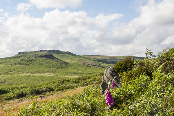 burbage-7257