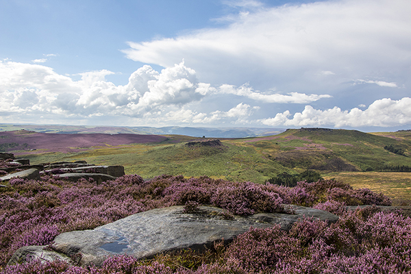 burbage-8733