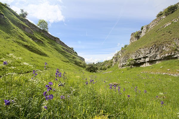 lathkill-dale-9925