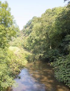 River Manifold