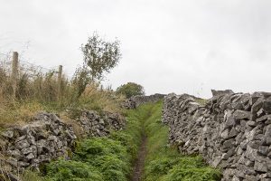 Cressbrook Dale