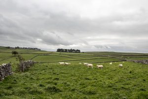 Cressbrook Dale