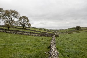 Cressbrook Dale