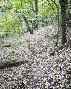 Cressbrook Dale