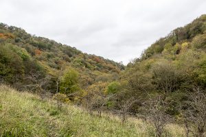 Cressbrook Dale