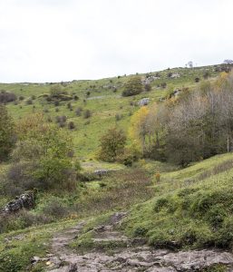 Cressbrook Dale