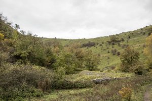 Cressbrook Dale