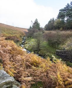 Derwent Edge