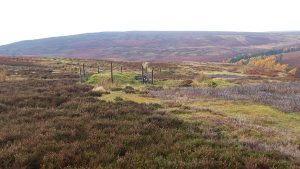 Bamford Edge