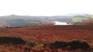 Bamford Edge