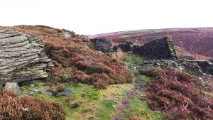 Bamford Edge