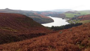 Bamford Edge