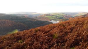 Bamford Edge
