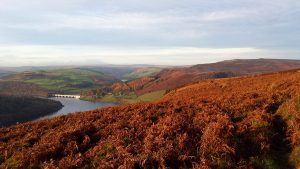 Bamford Edge
