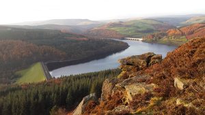 Bamford Edge