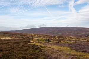 Bamford Edge