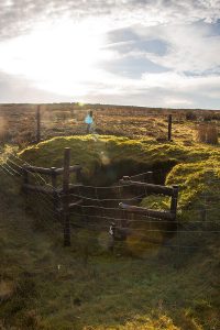 Bamford Edge