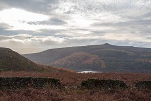 Bamford Edge