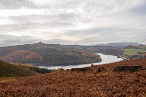 Bamford Edge