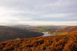 Bamford Edge