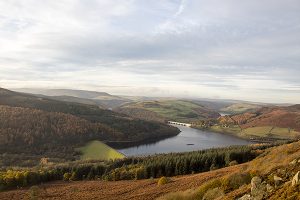 Bamford Edge