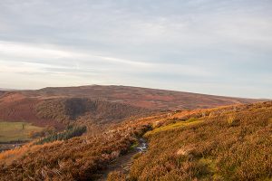 Bamford Edge