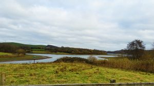 Carsington Water