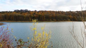 Carsington Water