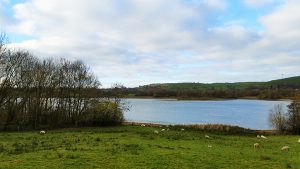 Carsington Water
