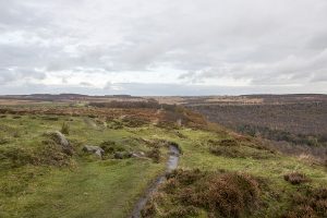 Curbar Edge and Curbar Wood