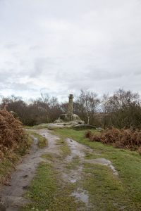 Curbar Edge and Curbar Wood