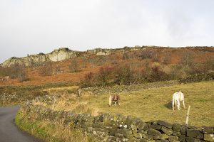 Curbar Edge and Curbar Wood