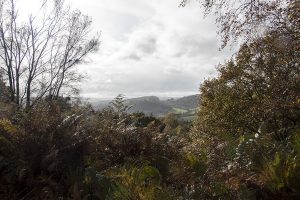 Curbar Edge and Curbar Wood