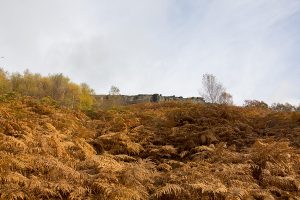 Curbar Edge and Curbar Wood