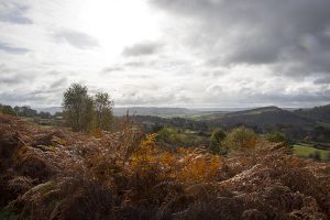 Curbar Edge and Curbar Wood