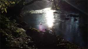 From a walk by the river Derwent