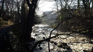 From a walk by the river Derwent