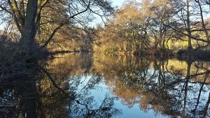 From a walk by the river Derwent
