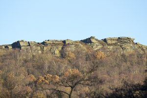 From a walk by the river Derwent
