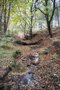 Tittesworth Reservoir