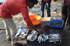 Cochin Fish Market